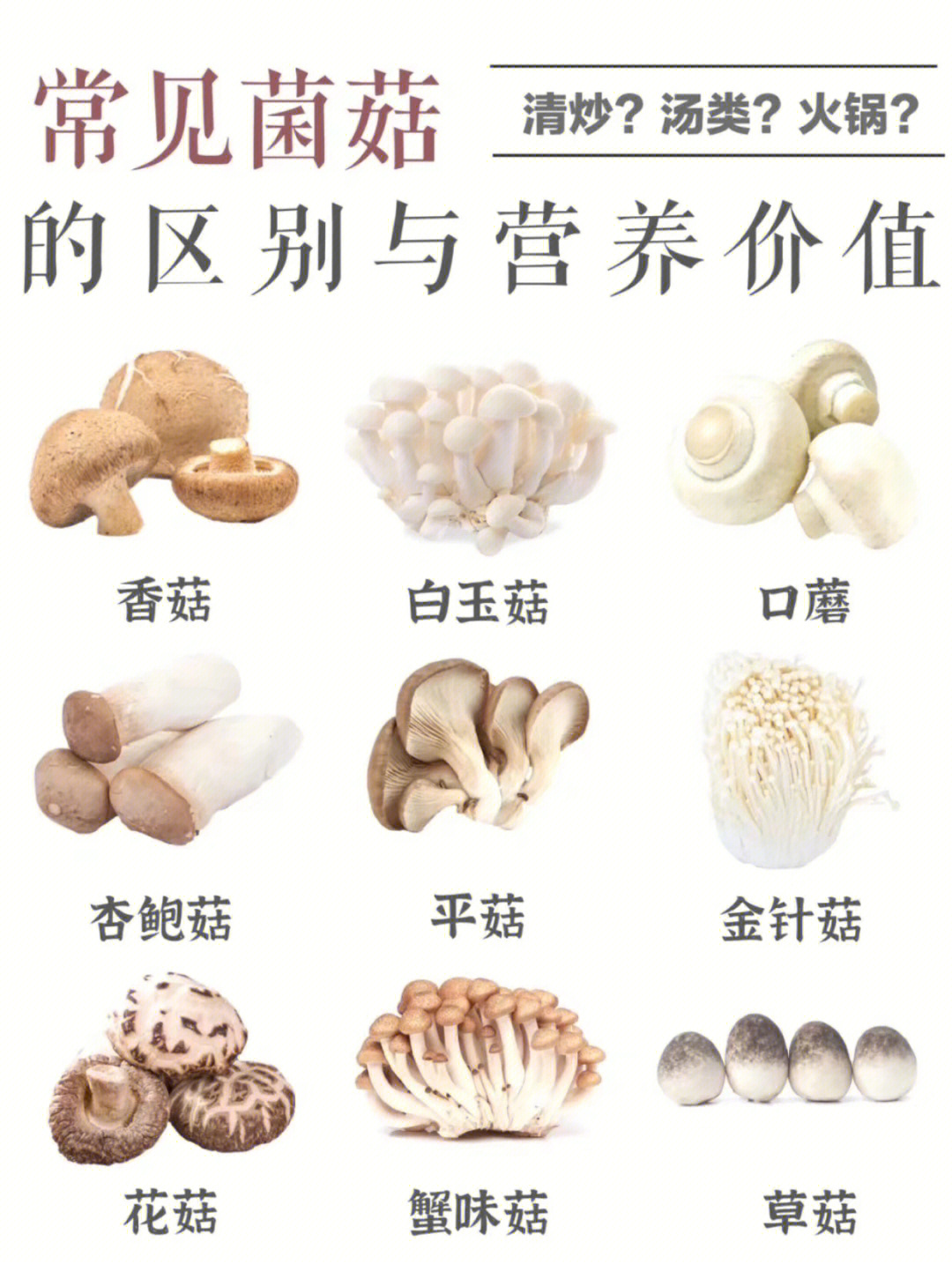 常见菌菇的区别与营养价值