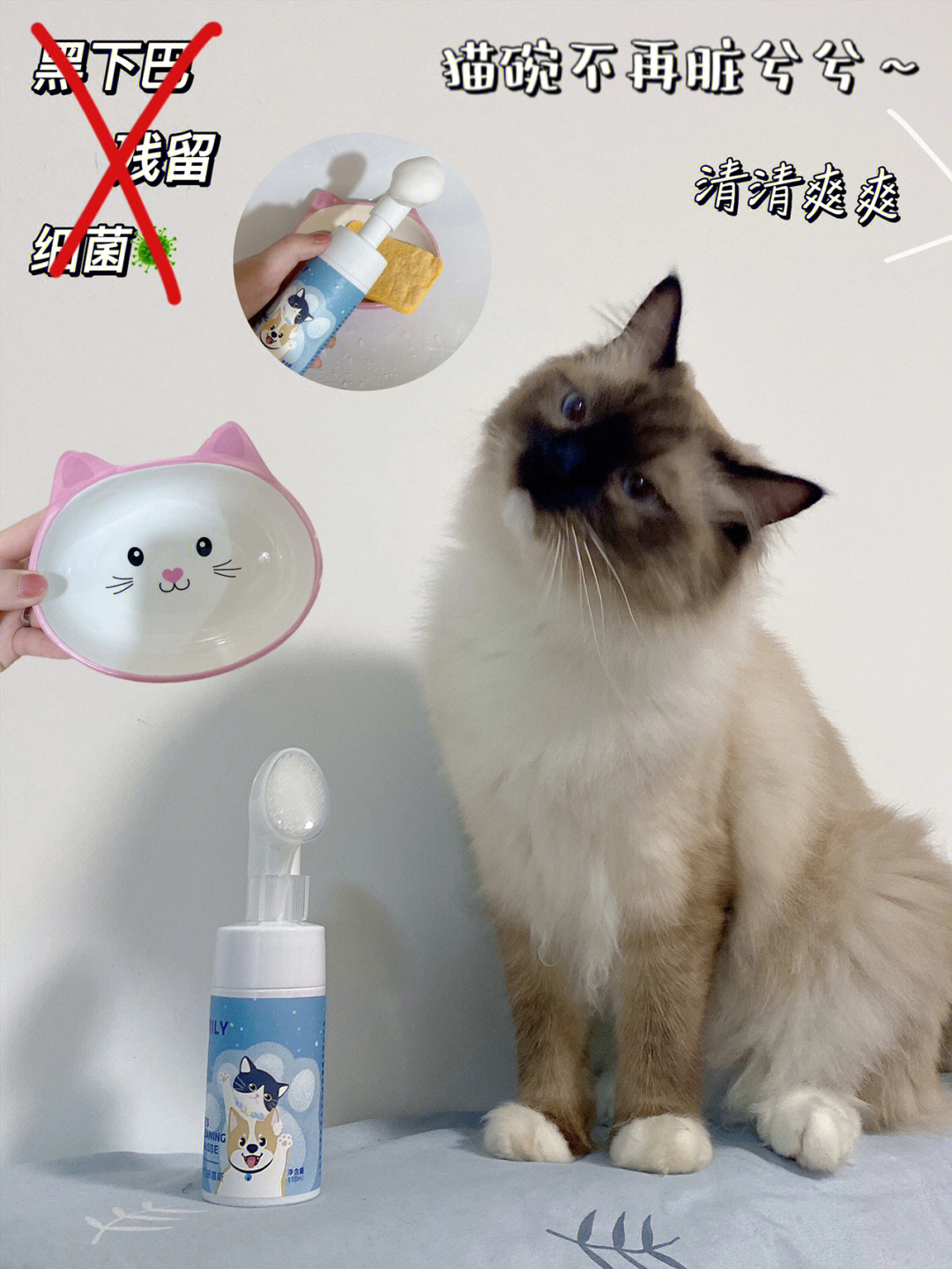 黑下巴的小猫咪终于有救啦