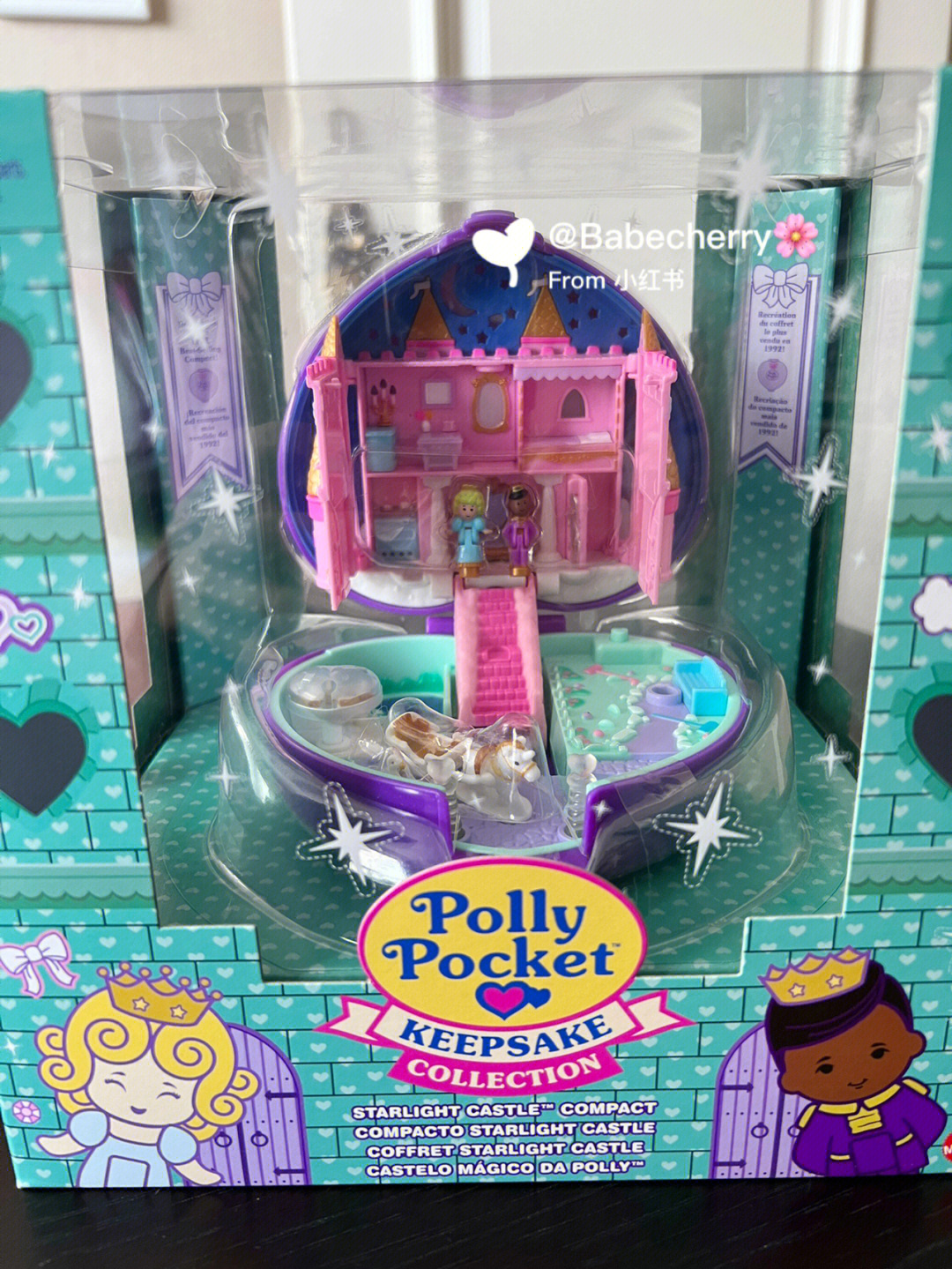 pollyproject图片