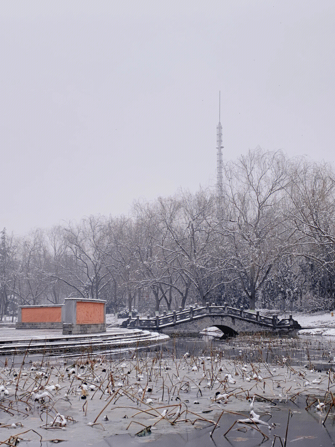 郑州初雪大学校园雪景太美了