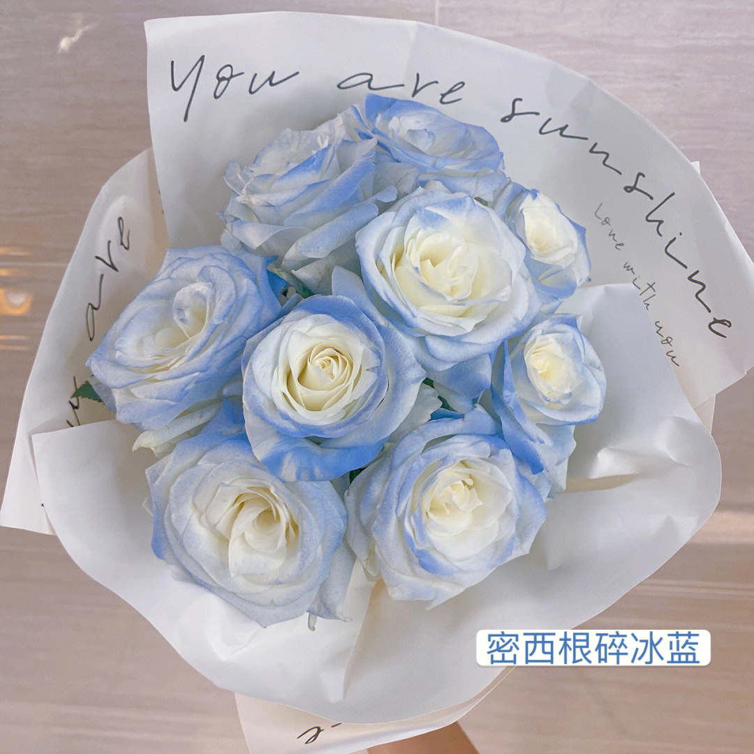 厄瓜多尔蓝白玫瑰花语图片