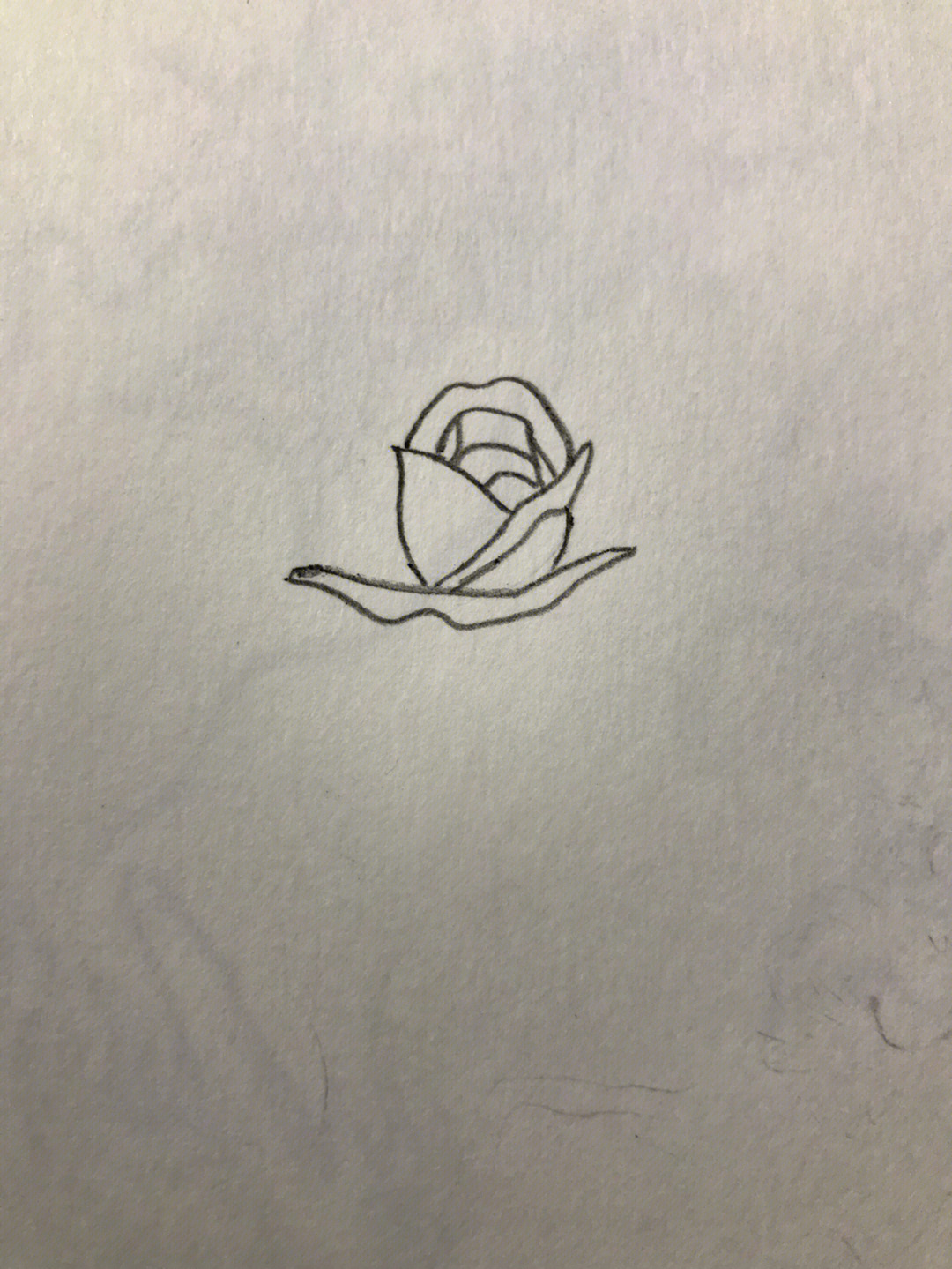 玫瑰手绘图片简单画法图片