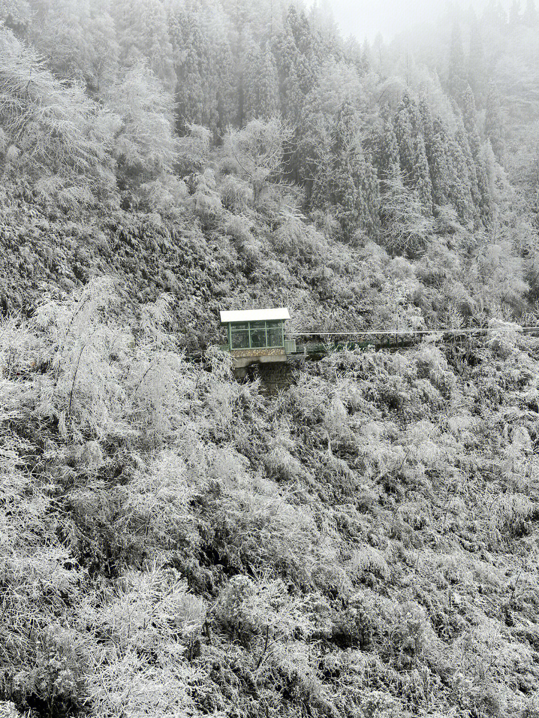 5h超美的雪景车开到回龙沟景区买缆车票上去,往返110/人上去就有一个