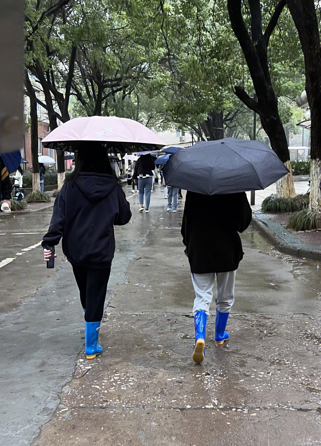 为啥大学生很少人穿雨靴