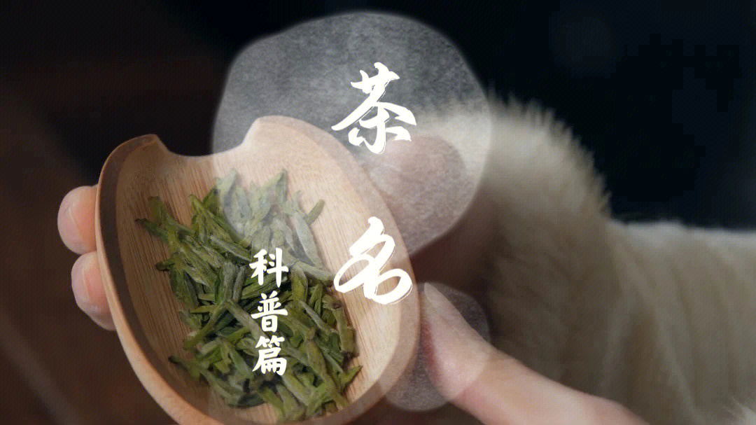 人名固有百种茶名亦分千类或以其形色,或以其香味,或以产地,或以时令