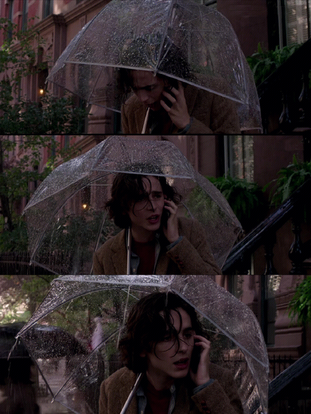 纽约的一个雨天裘德洛图片