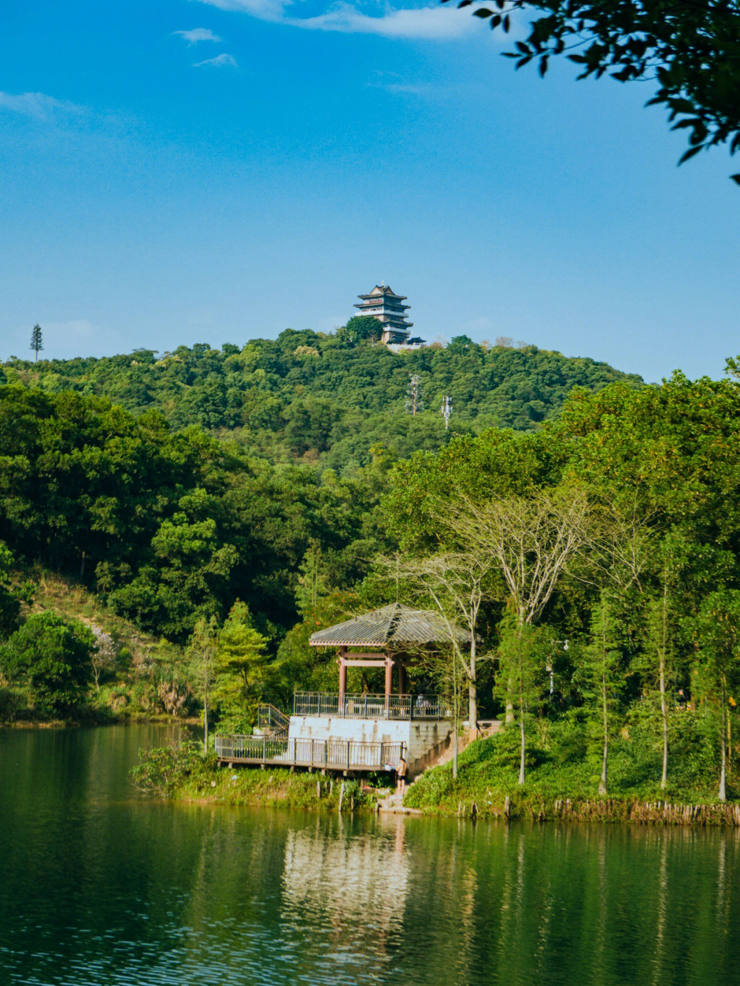 惠州红花湖公园图片