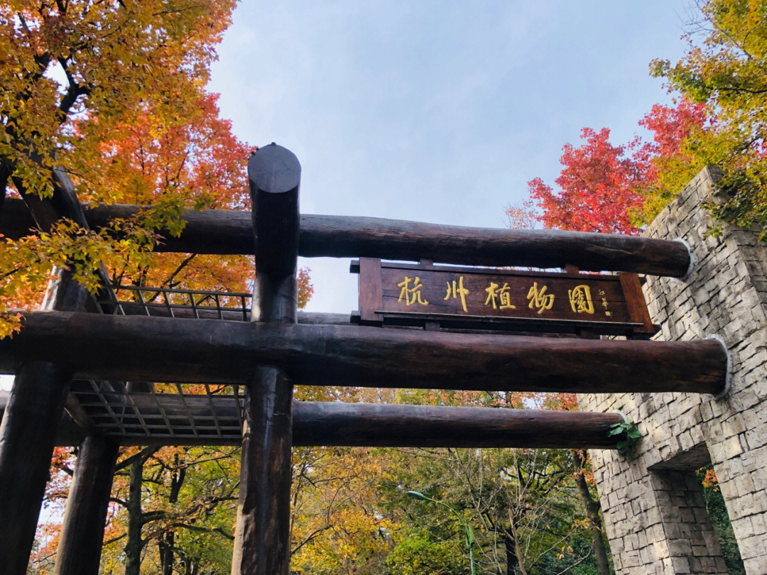 杭州植物园之秋