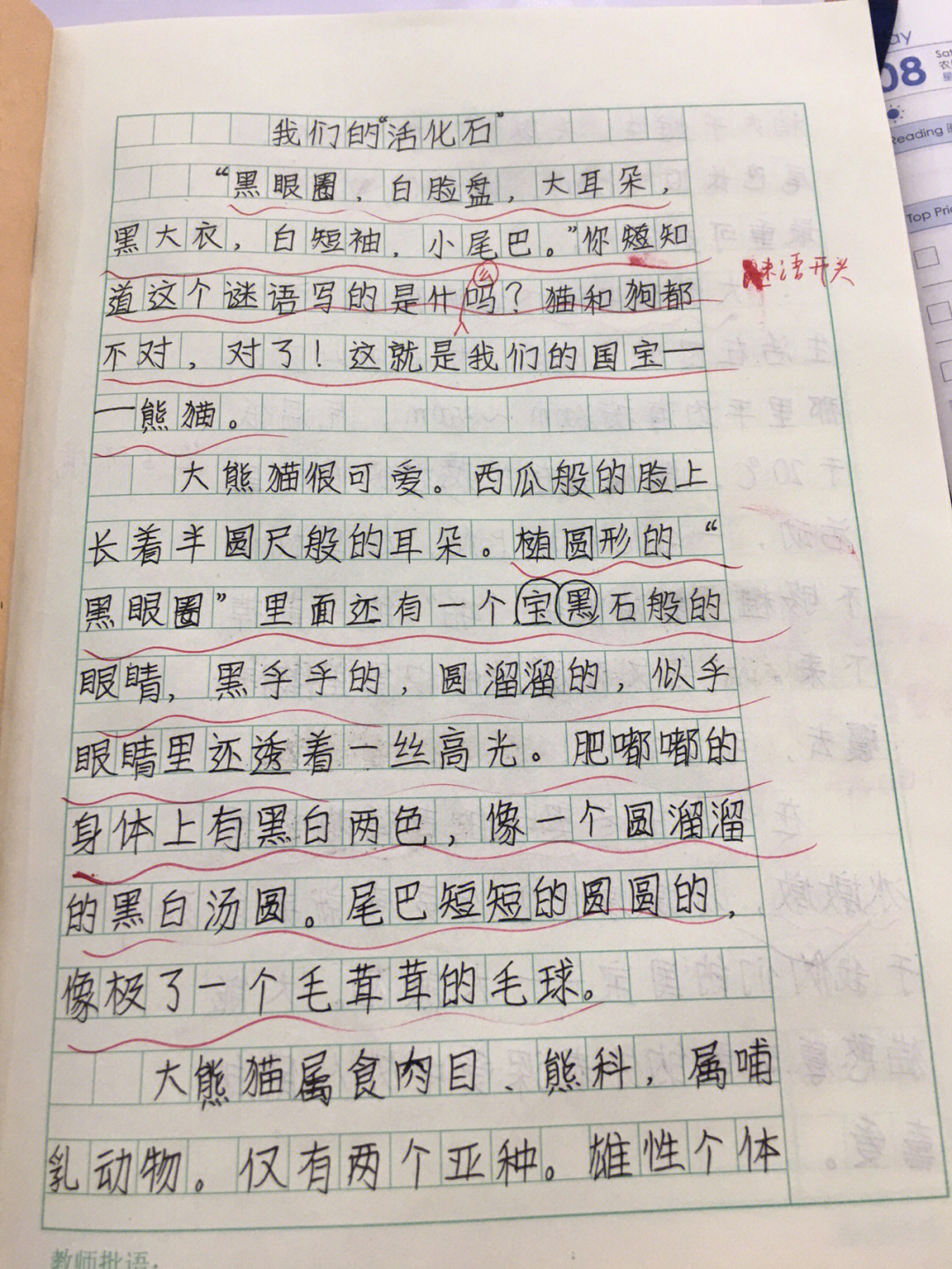 动物活化石作文五百字图片