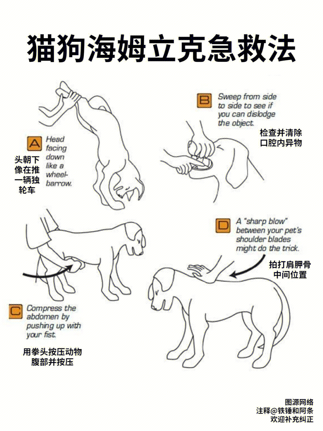 动物防身的方法的图片图片