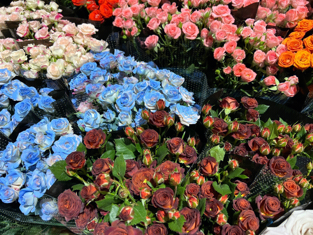 昆明斗南花卉市场,没有一个女生能拒绝花98