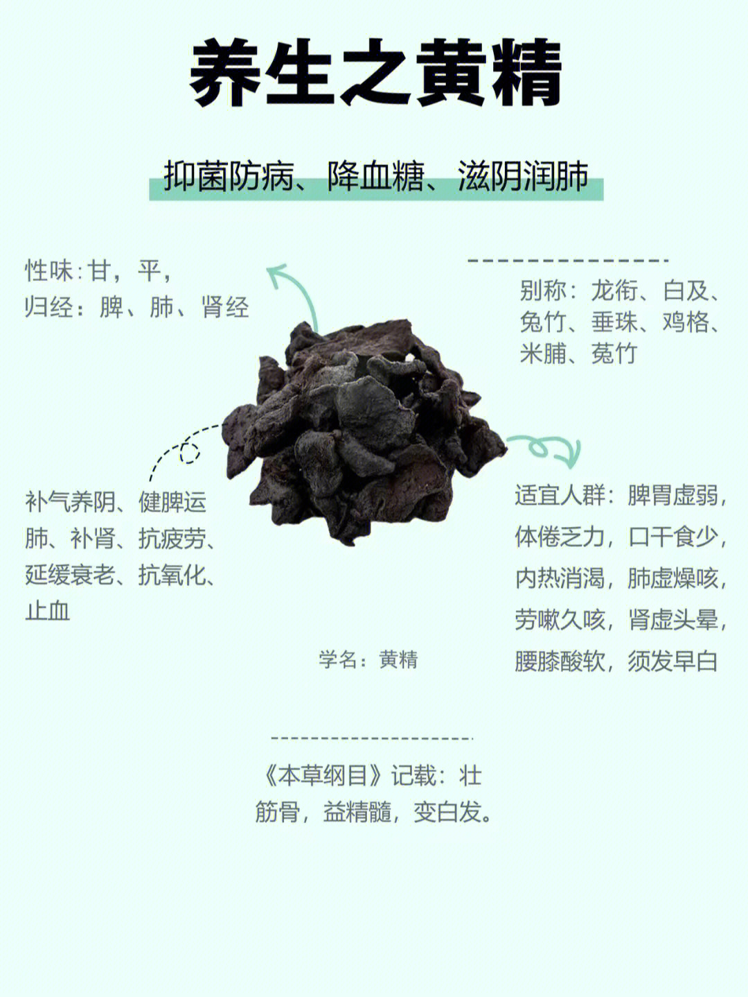 黄精的副作用图片