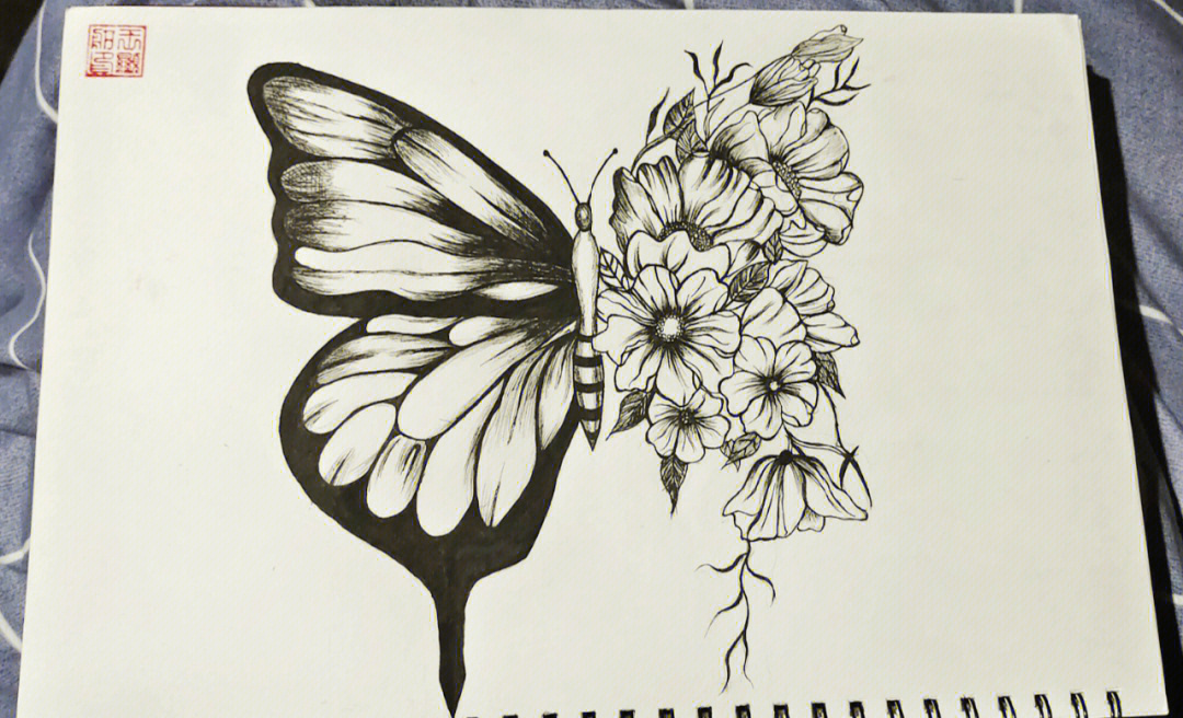 蝴蝶画法一半图片
