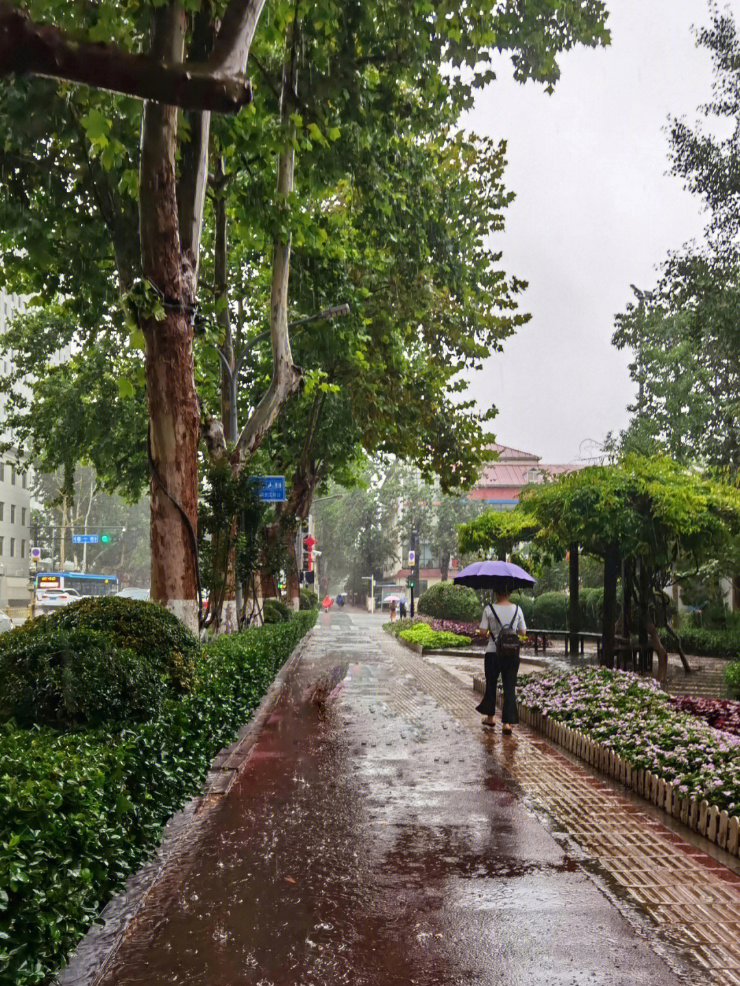 雨中即景图片配诗图片