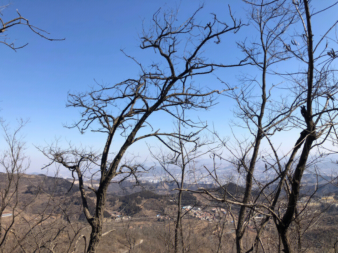 邳州市禹王山风景区图片