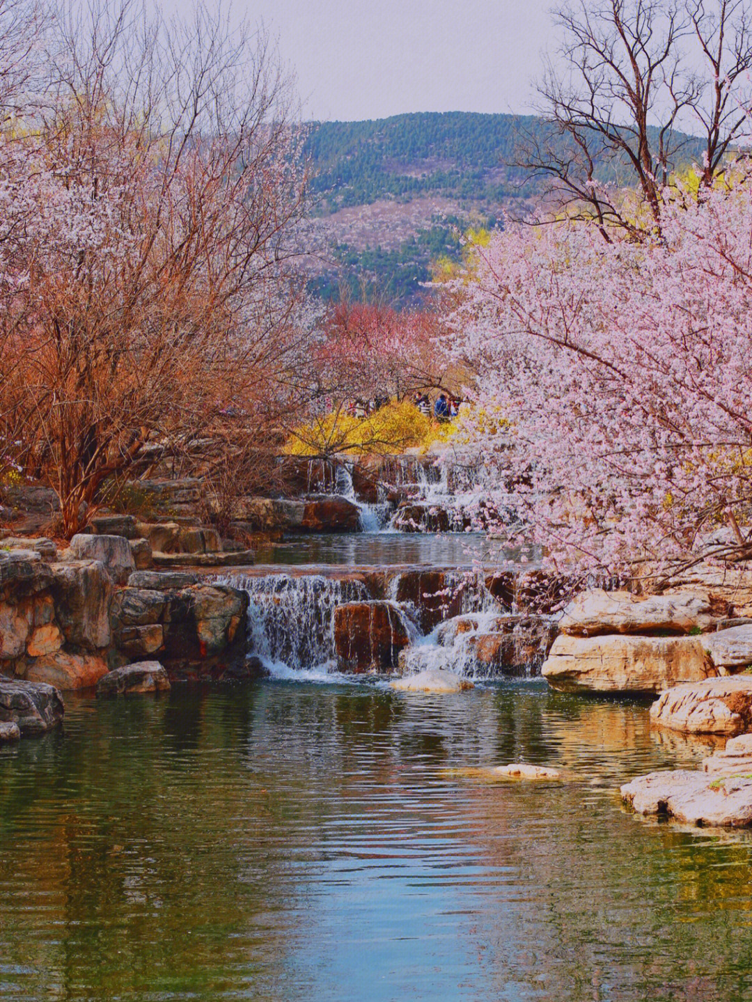 北京植物园