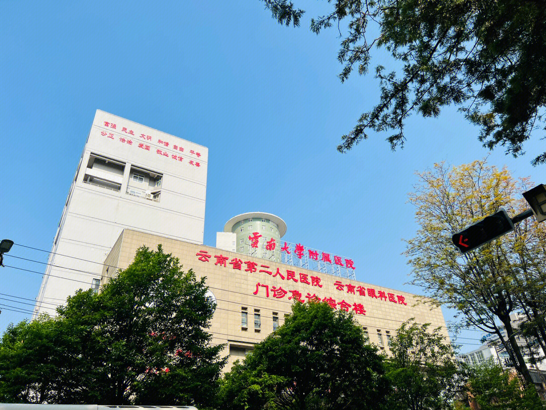 医院选择看个人吧  我选择的公立医院  云南省第二人民医院(又名红会
