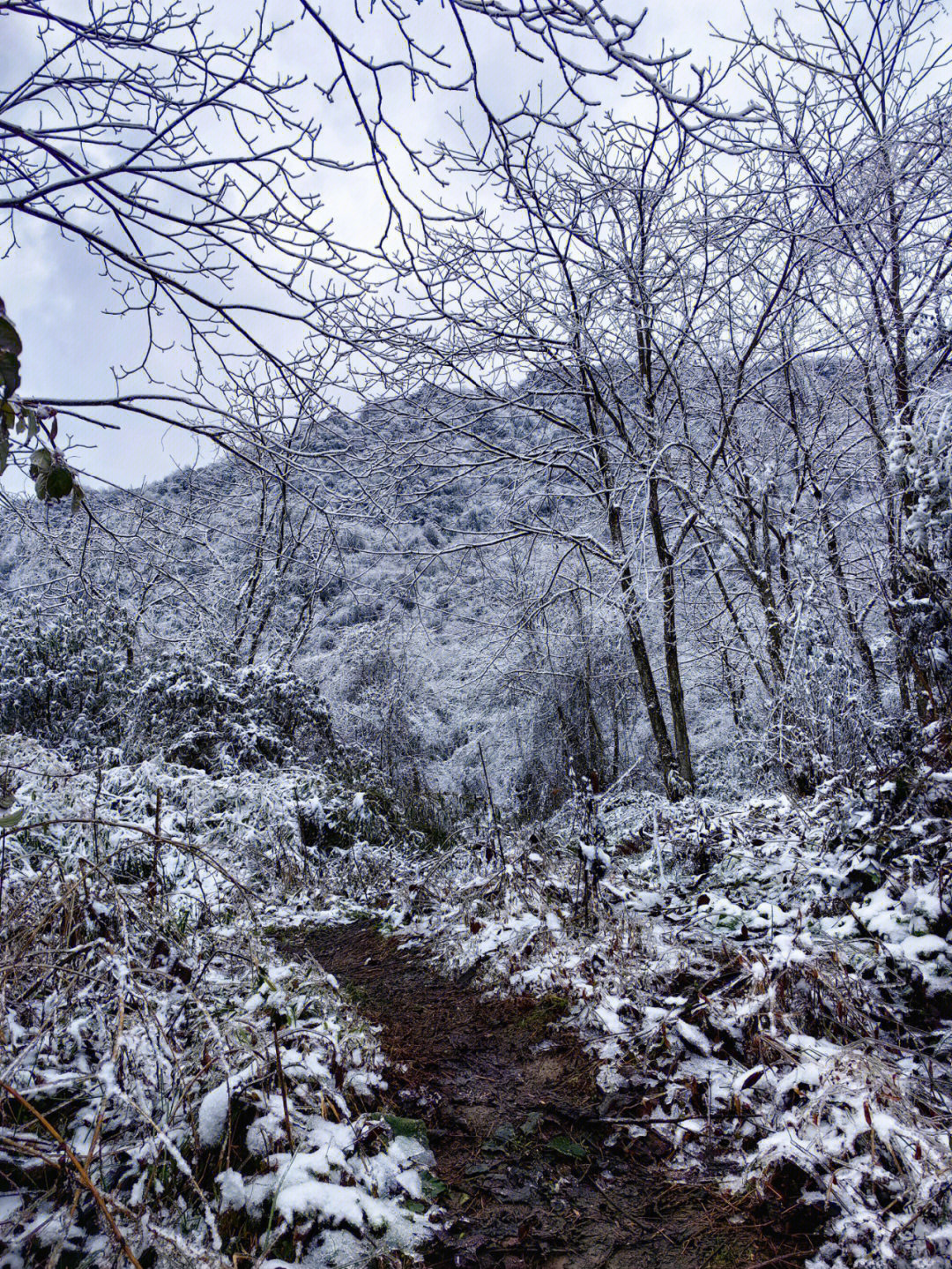 赵公山雪景图片图片