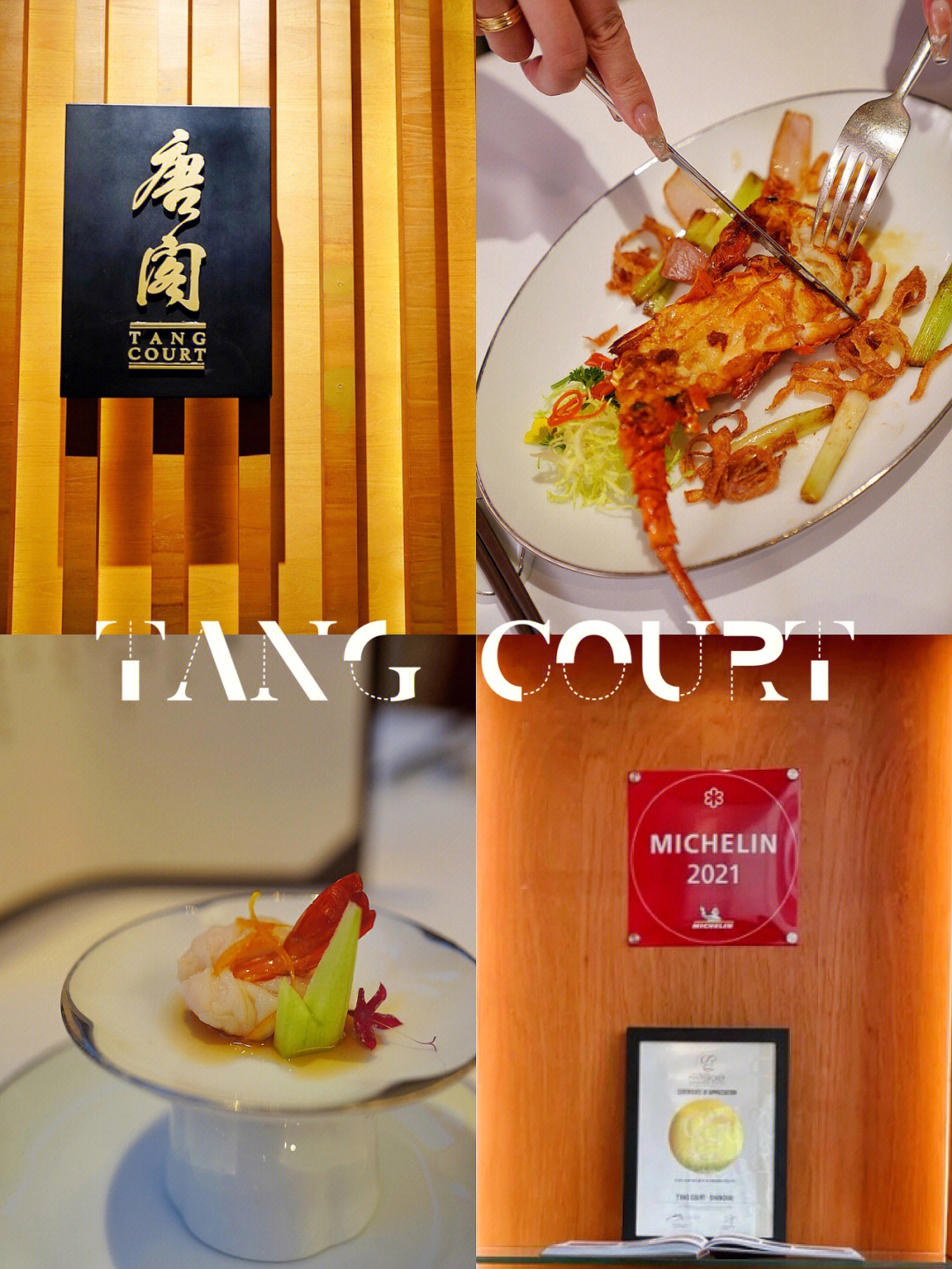 上海唐阁米其林餐厅图片
