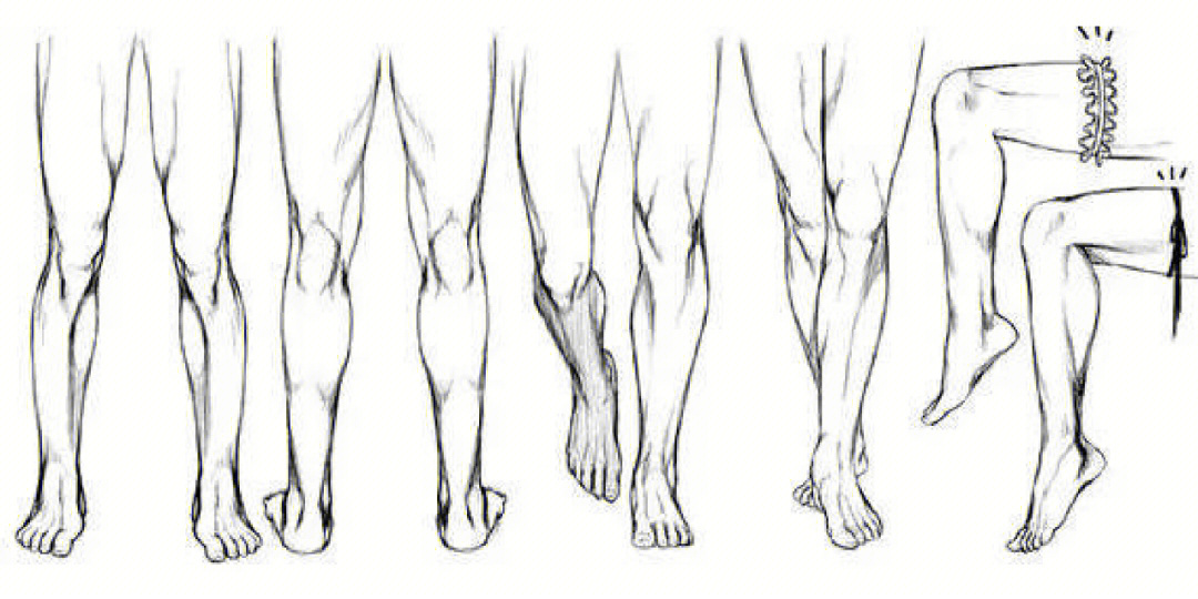 素描腿的画法图片
