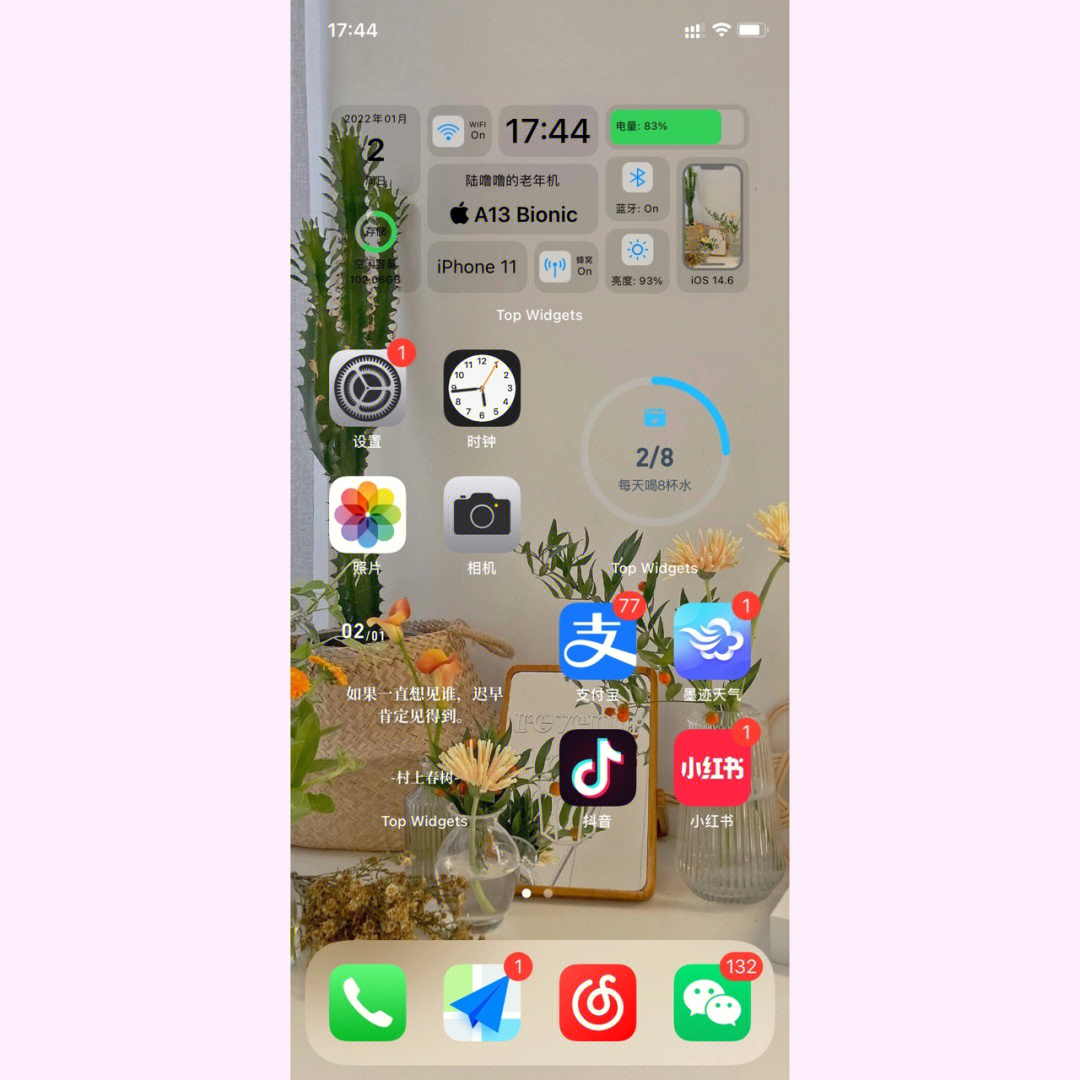 iphone11桌面整理图片