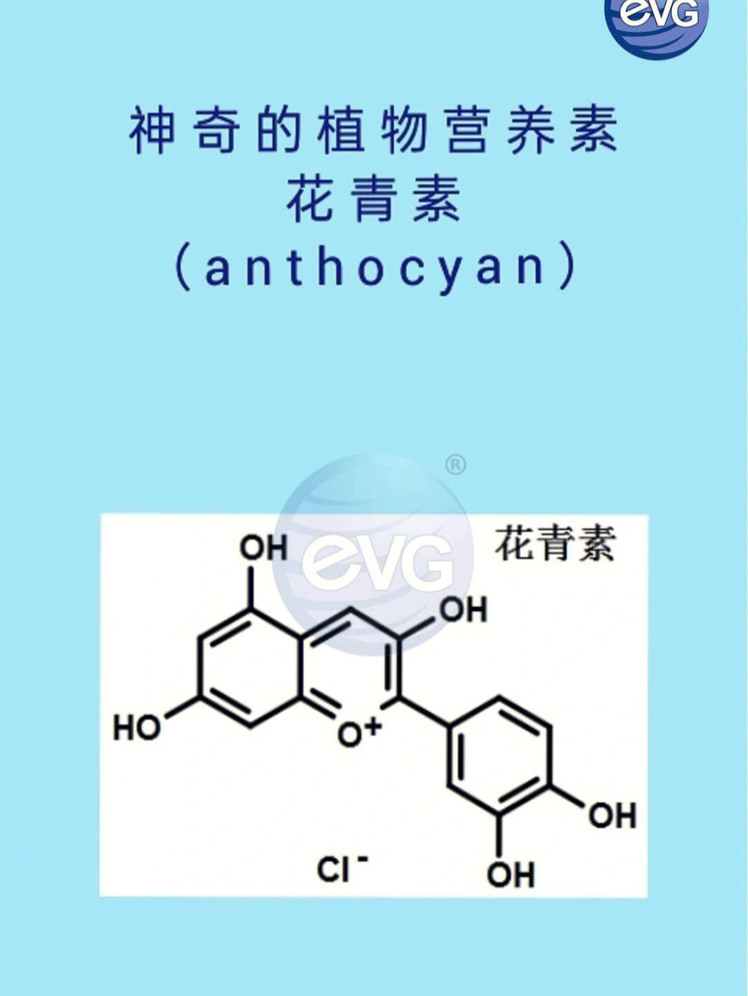 花青素