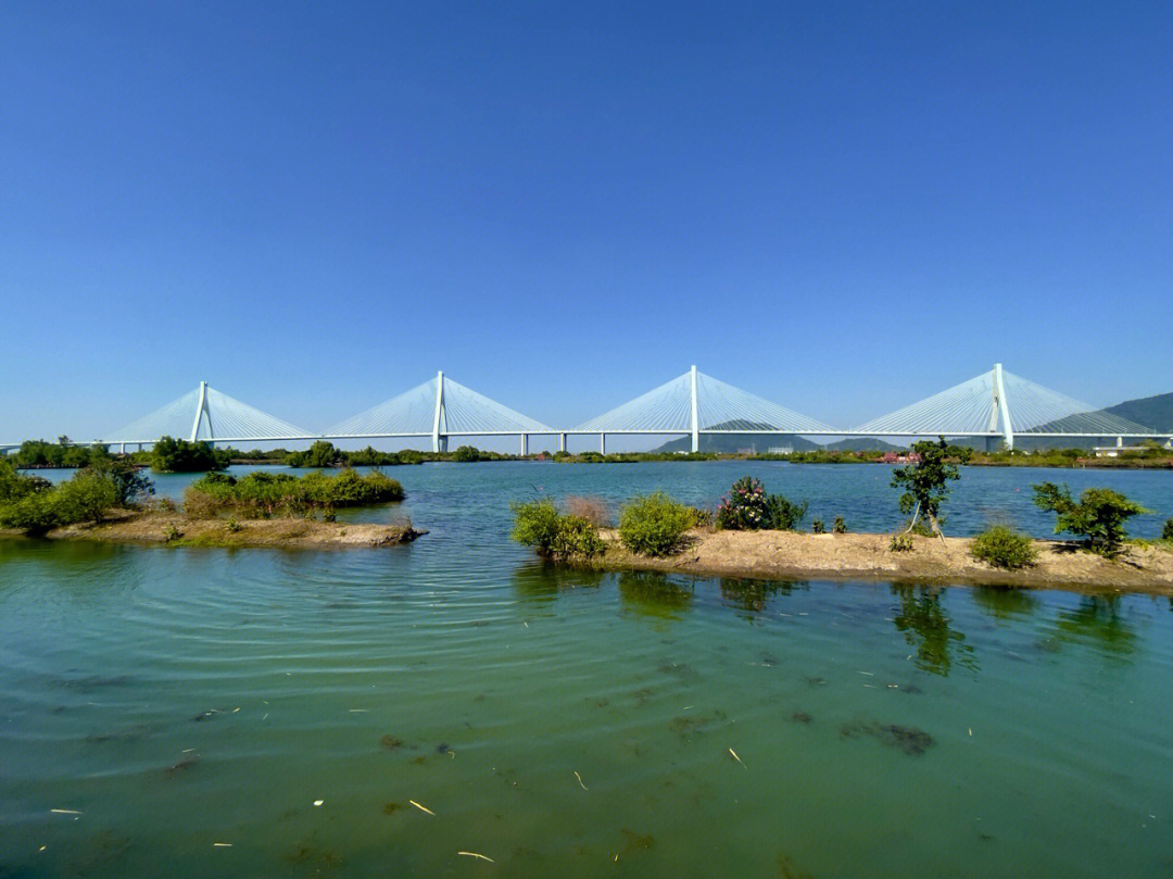 横琴滨海湿地公园图片图片