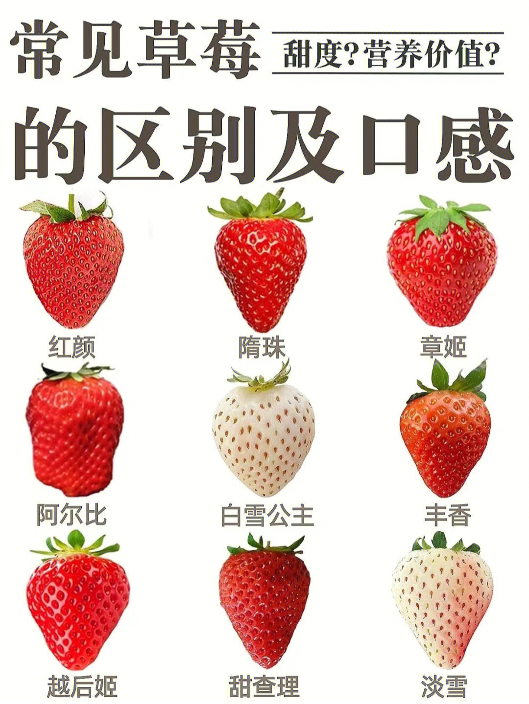 草莓品种大全及照片图片