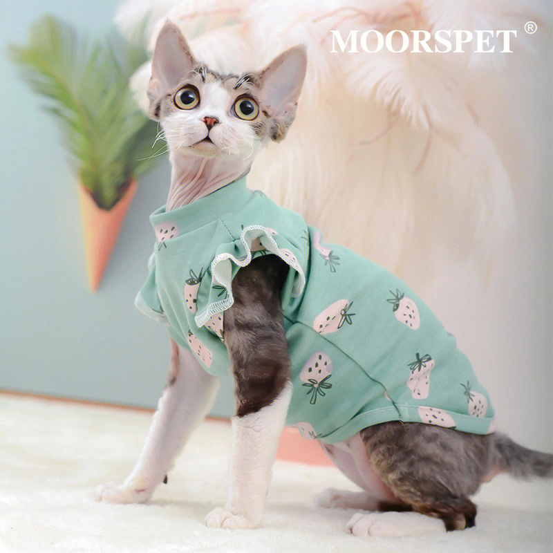 moorspet纯棉猫咪衣服可爱小飞袖