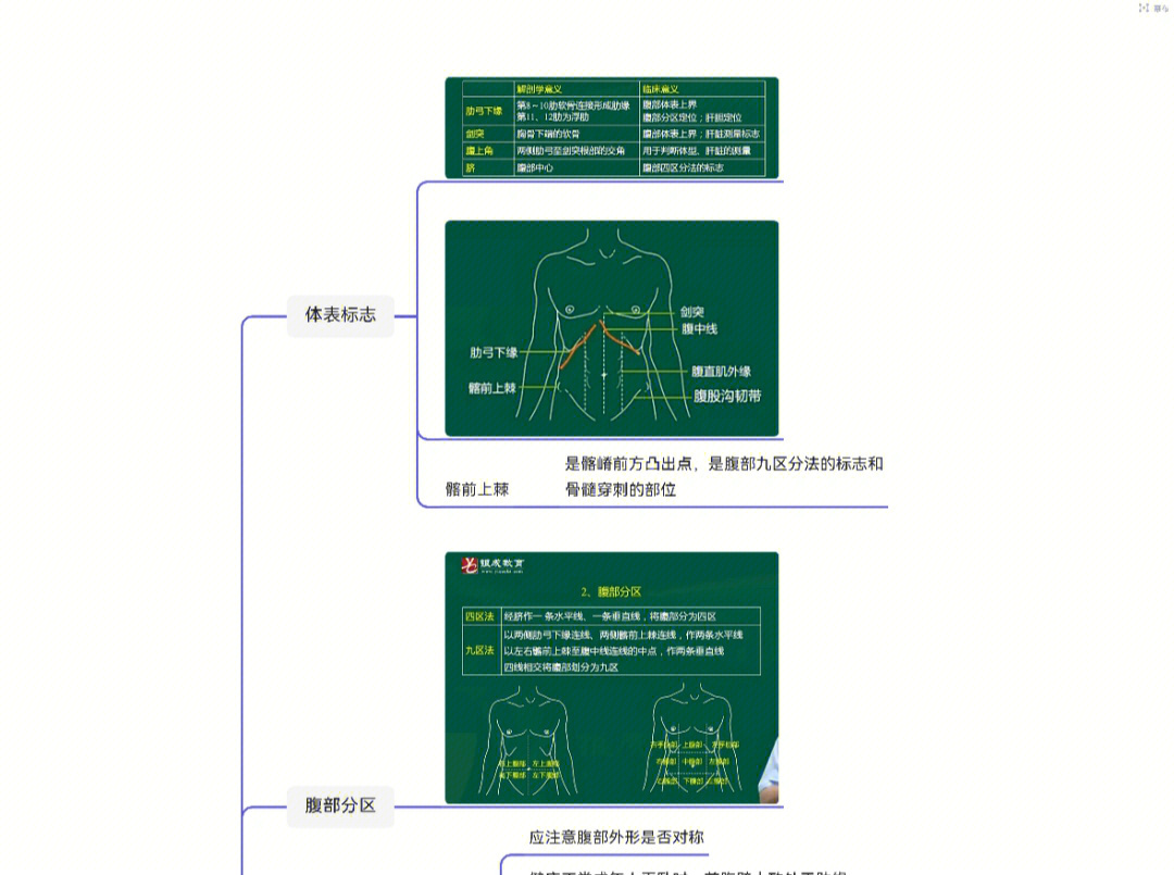 思维导图  