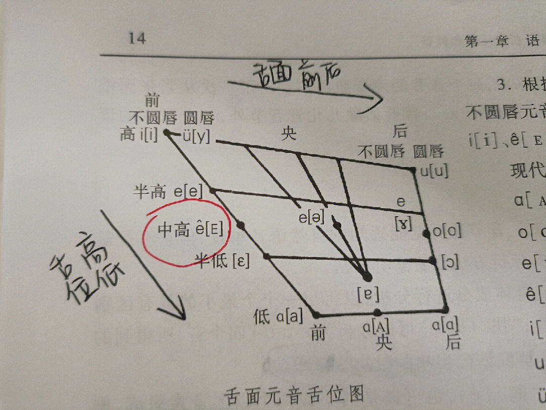 根据舌位的高低不同,舌面元音e^是?