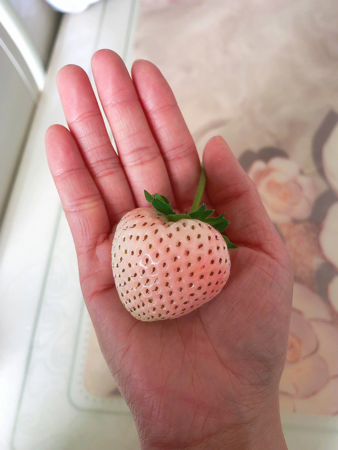 草莓怎么种吻痕图片