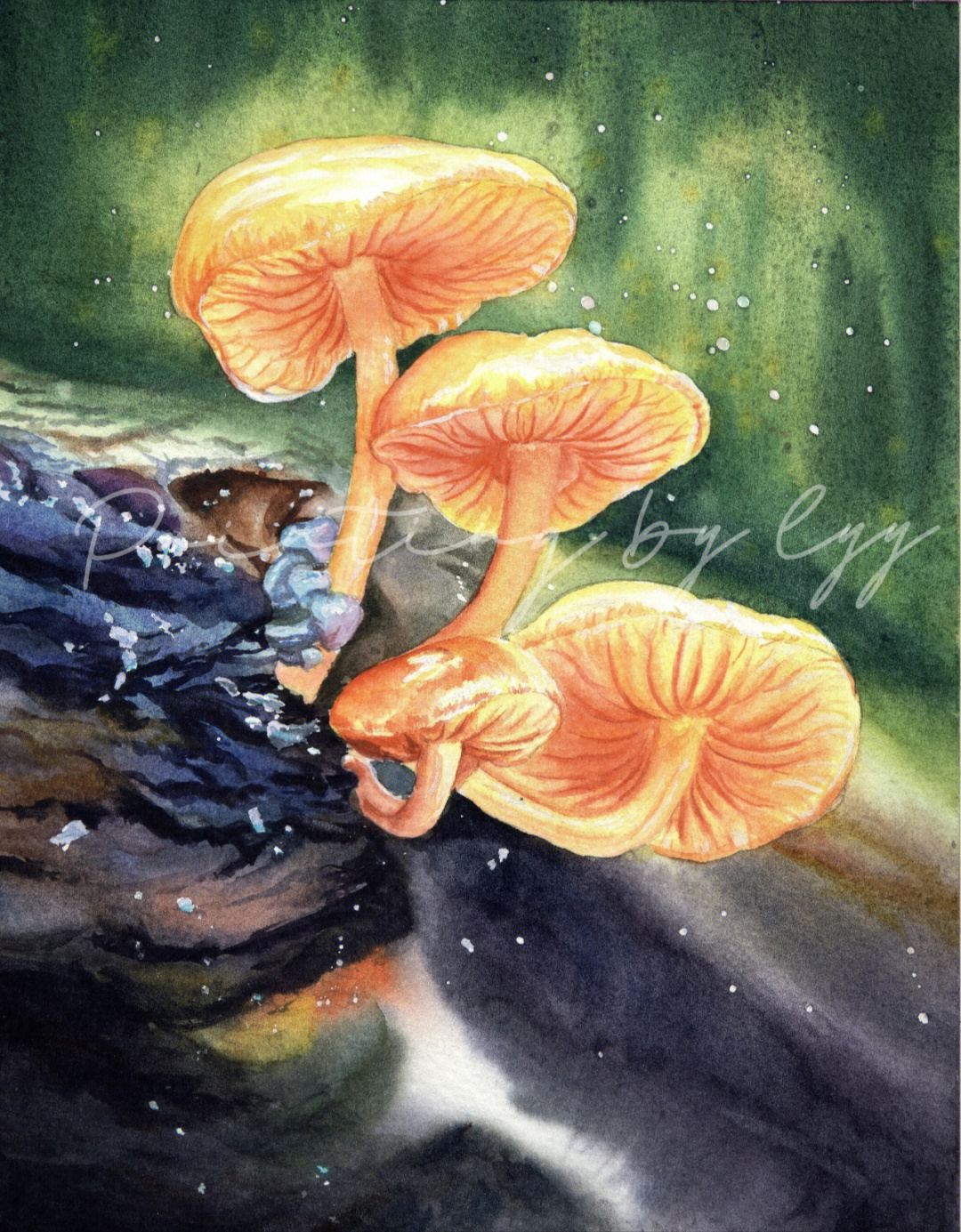 水彩森林小蘑菇黄伞伞