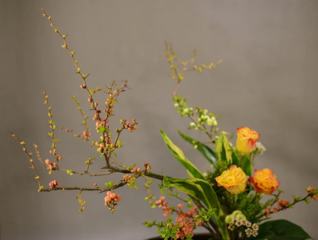 插花的艺术海棠网图片