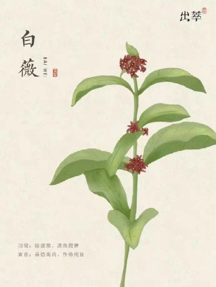 中草药百草图
