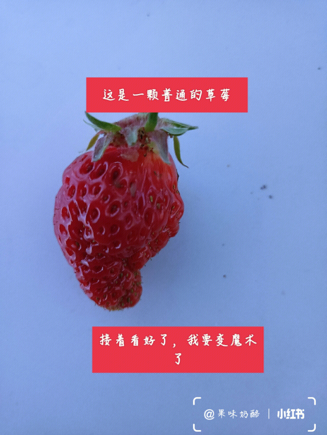 耽误你30秒,所以你喜欢吃什么草莓?