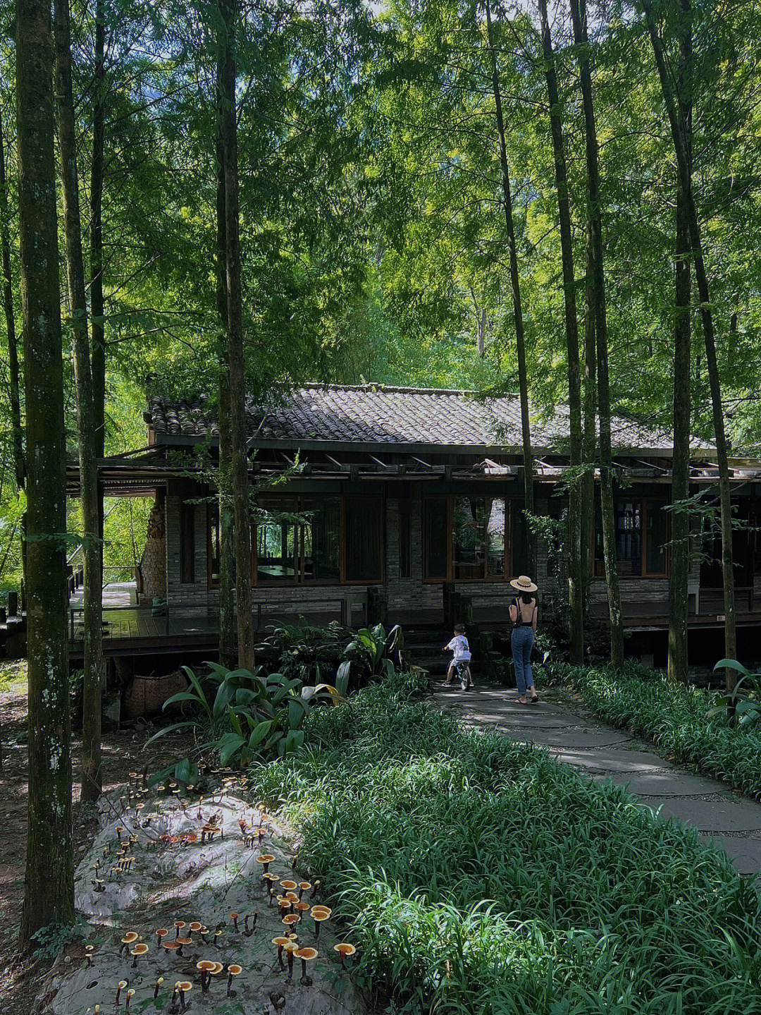 天台山看萤火虫住宿图片