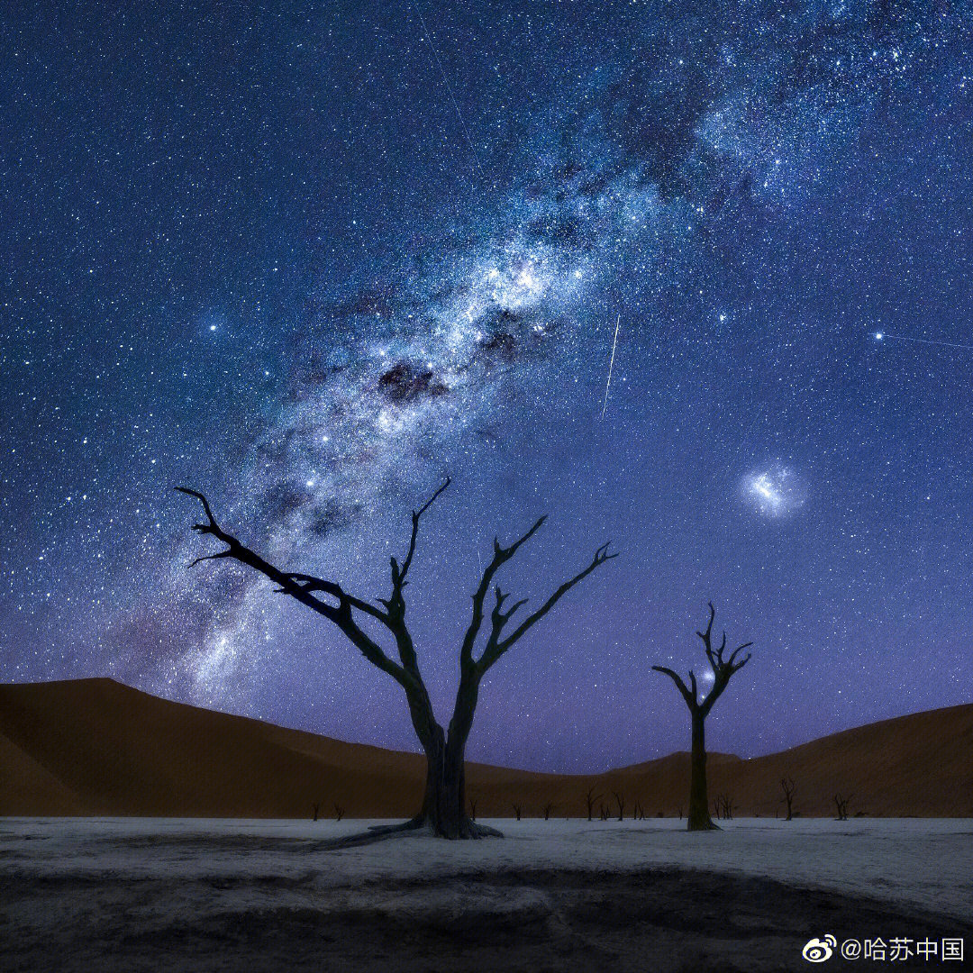 繁星点点 落叶归根图片