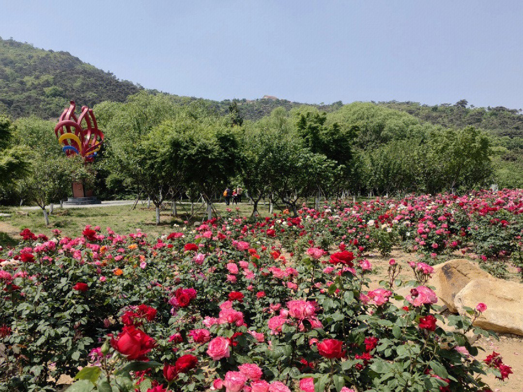 孩儿们好生看管花果山图片