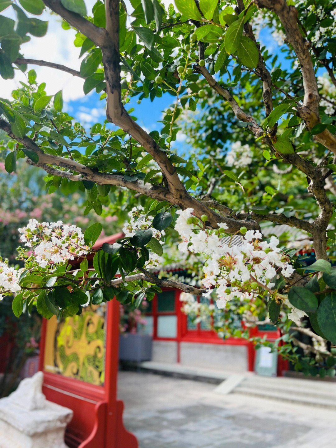 恭王府听雨轩图片