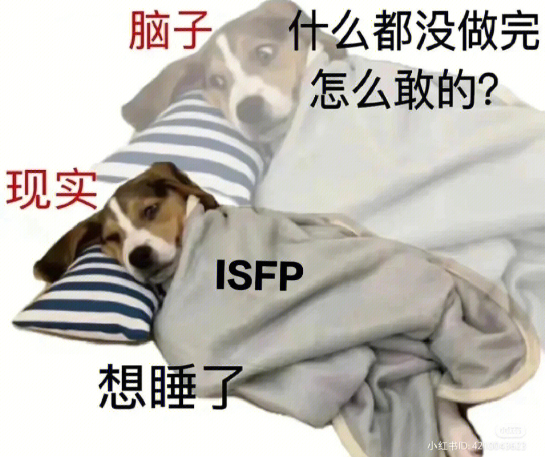 讨厌isfp女图片