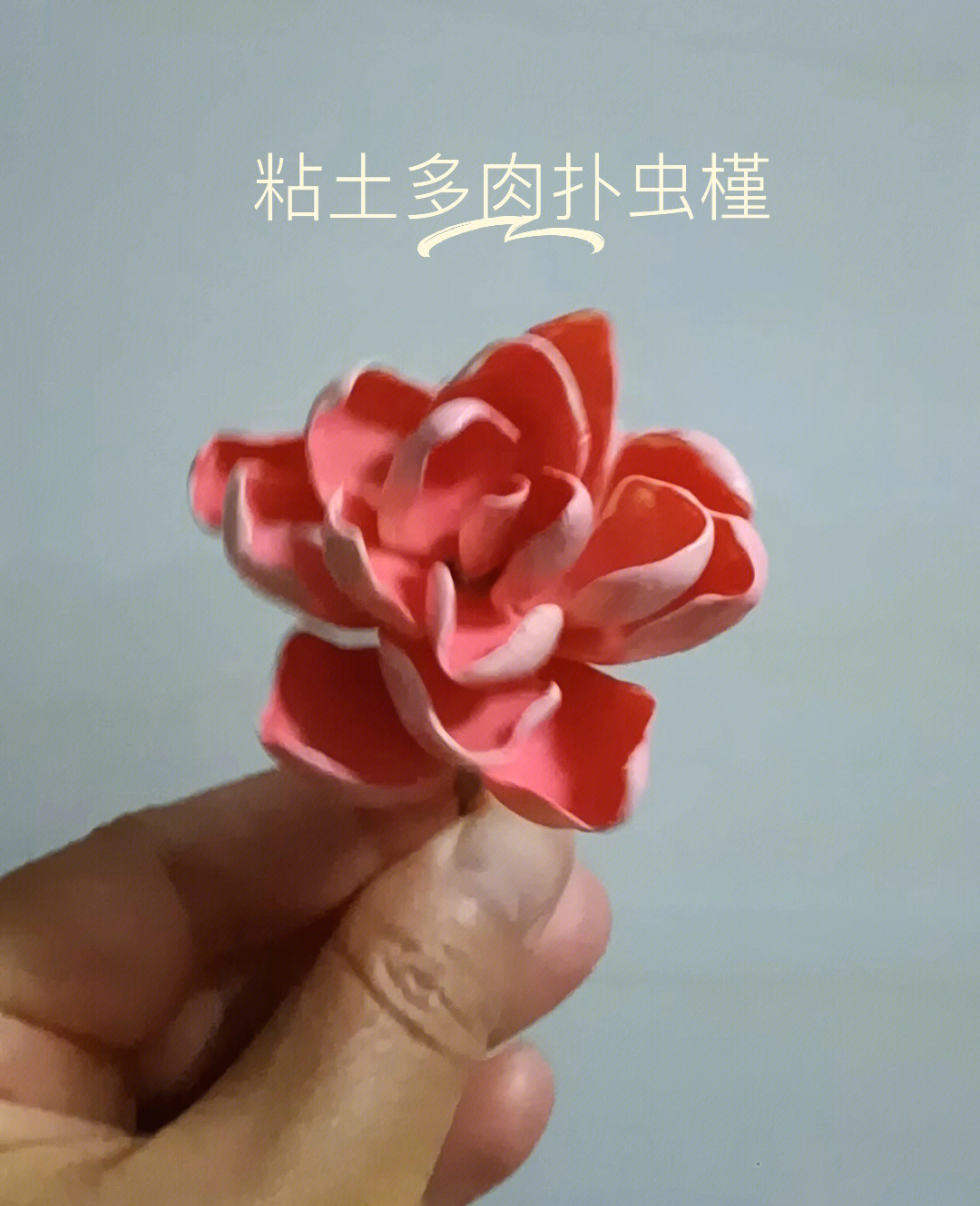 这是食肉植物,吸取虫子的养料生存,很有意思吧#粘土多肉#树脂粘土