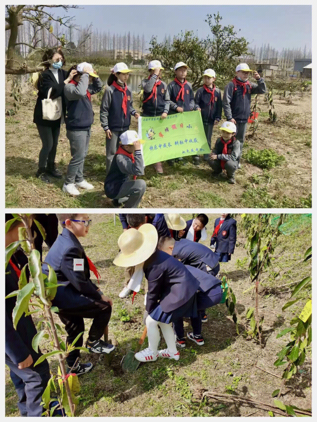 长兴岛郊野公园植树图片