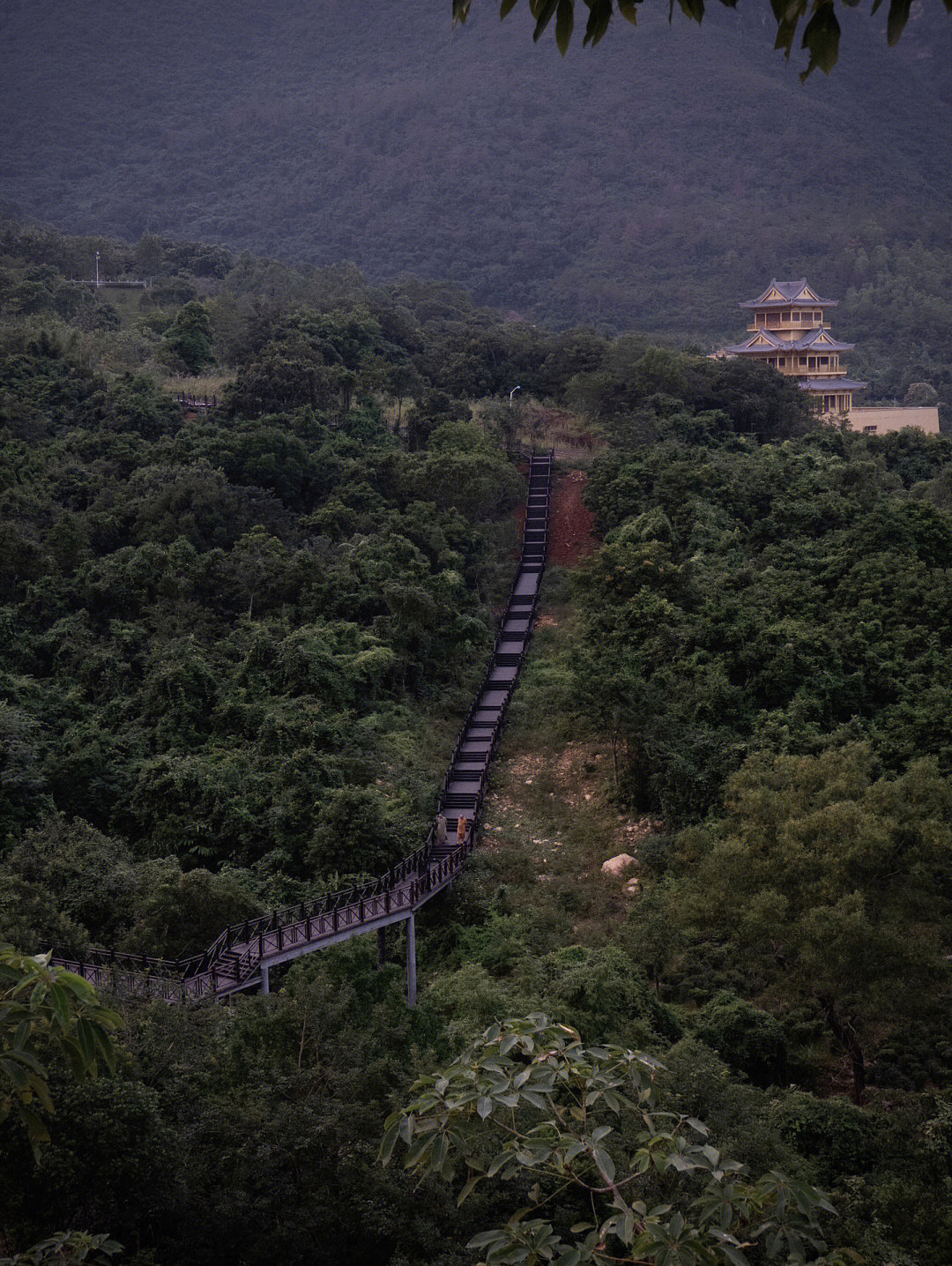 海丰莲花山鸡鸣寺解签图片