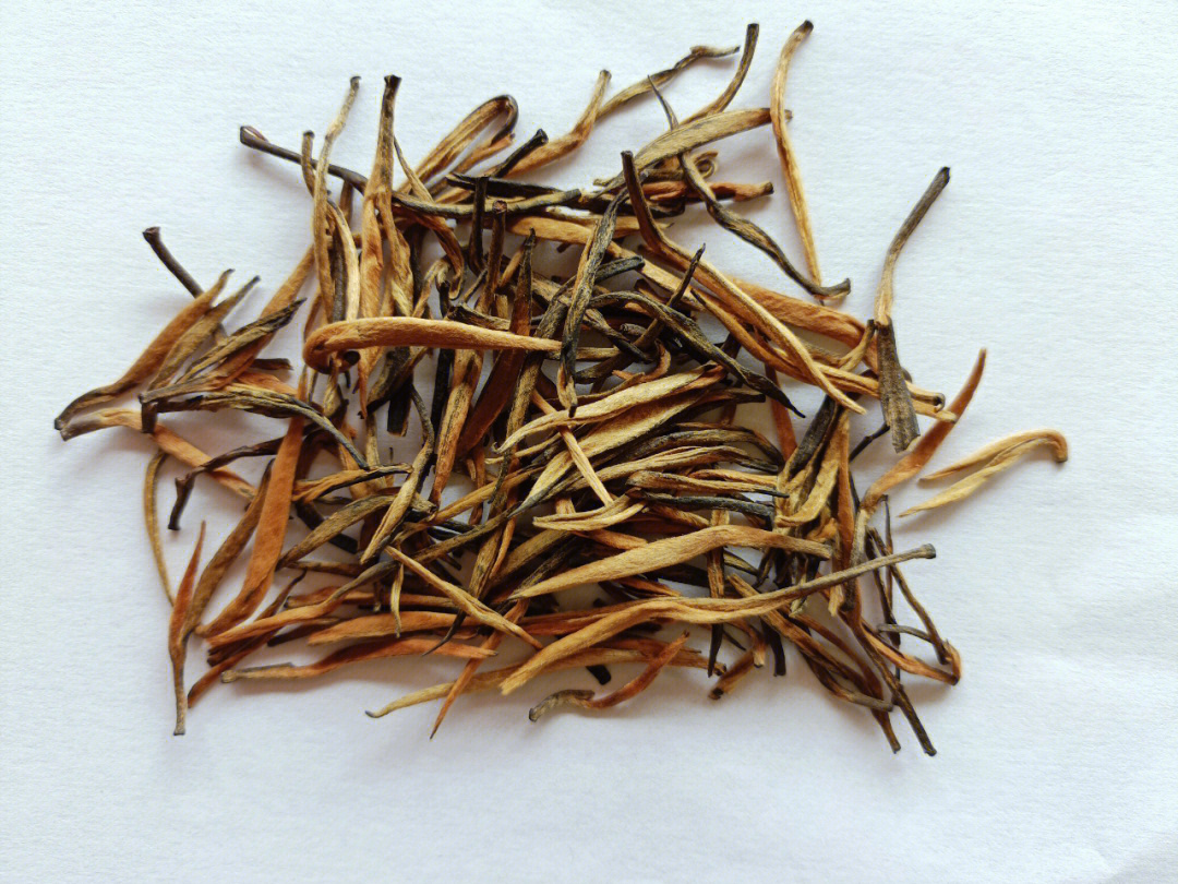 大金针茶叶的泡茶法图片