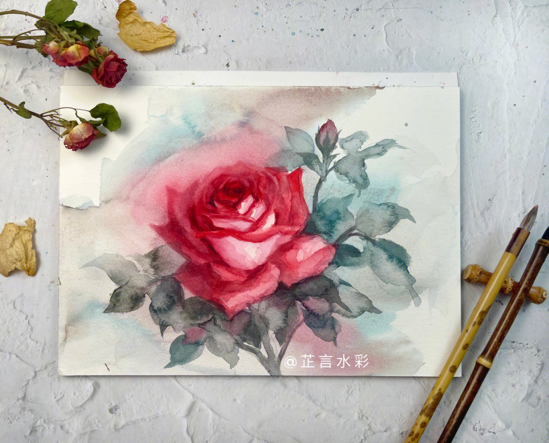 国画玫瑰花的画法步骤图片
