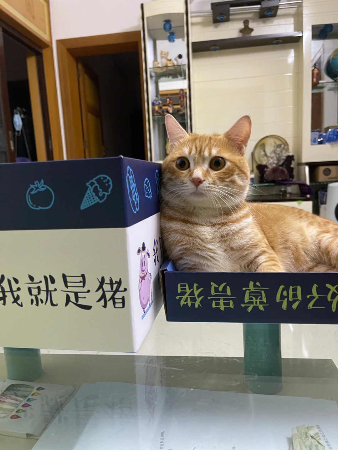 我就是猪