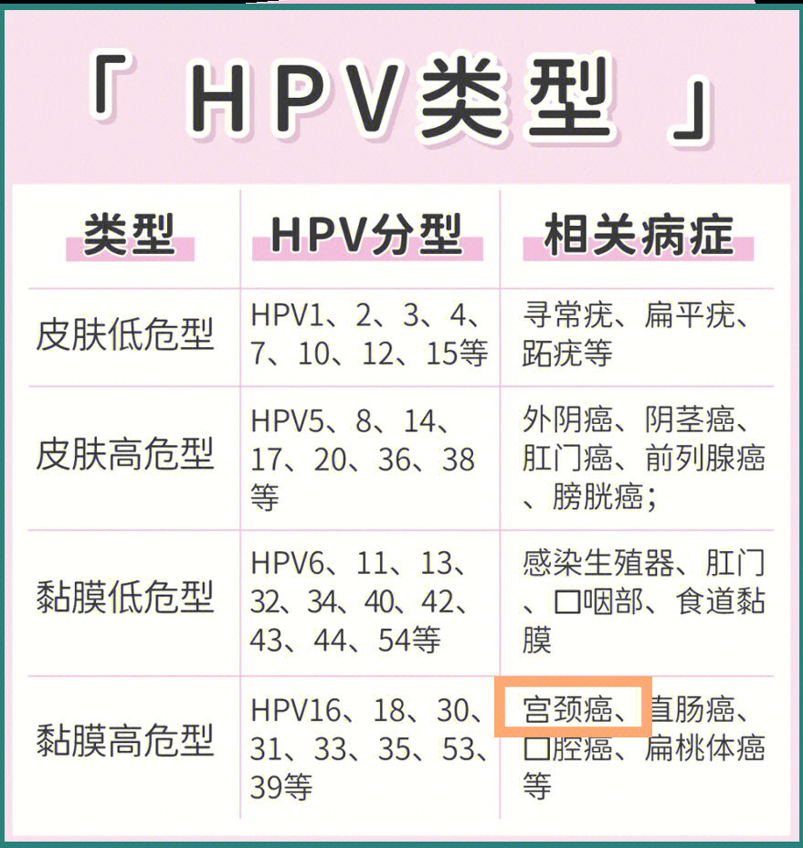 hpv16阳性转阴概率图片