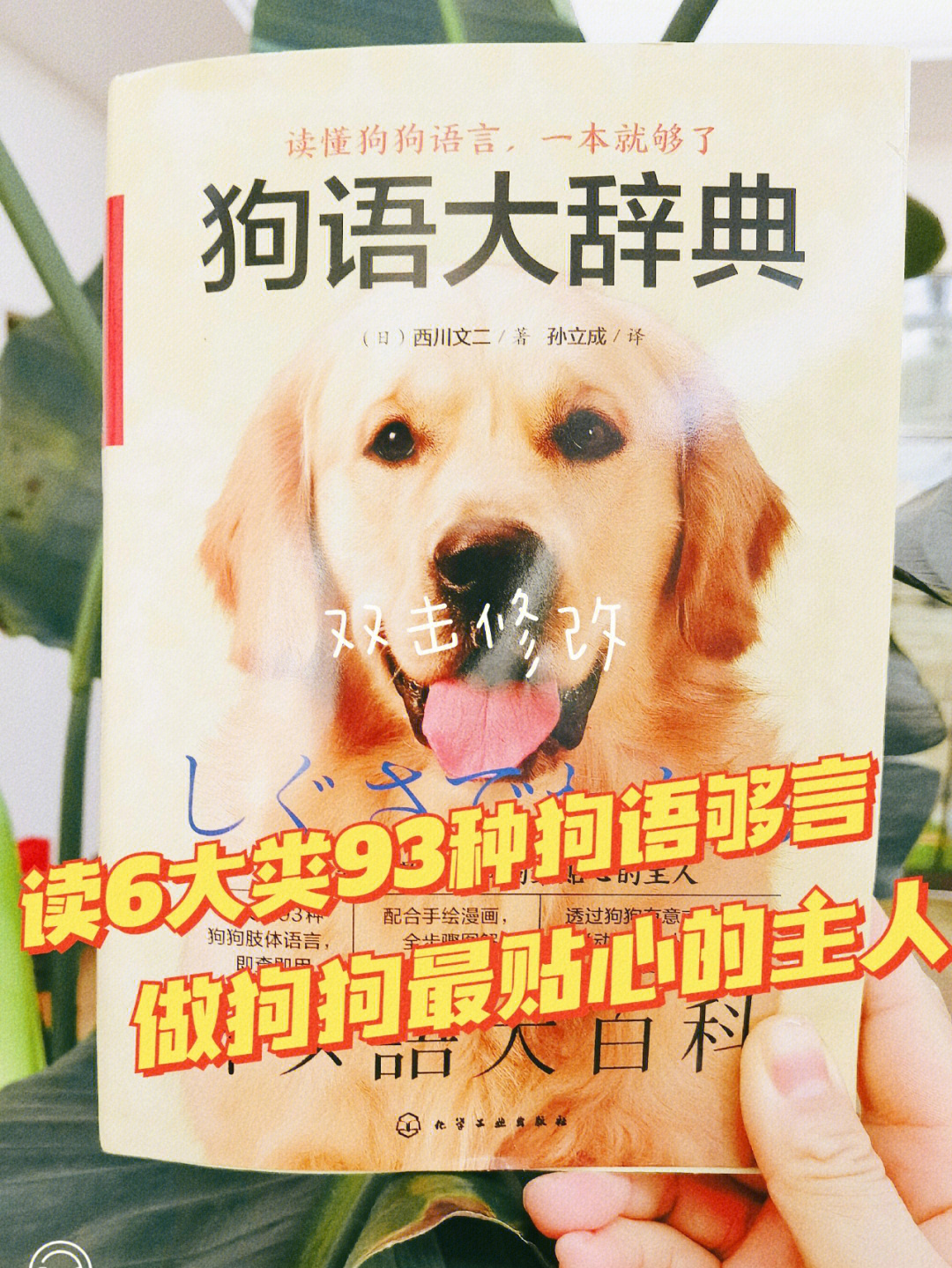 养狗系列读书笔记狗语大辞典