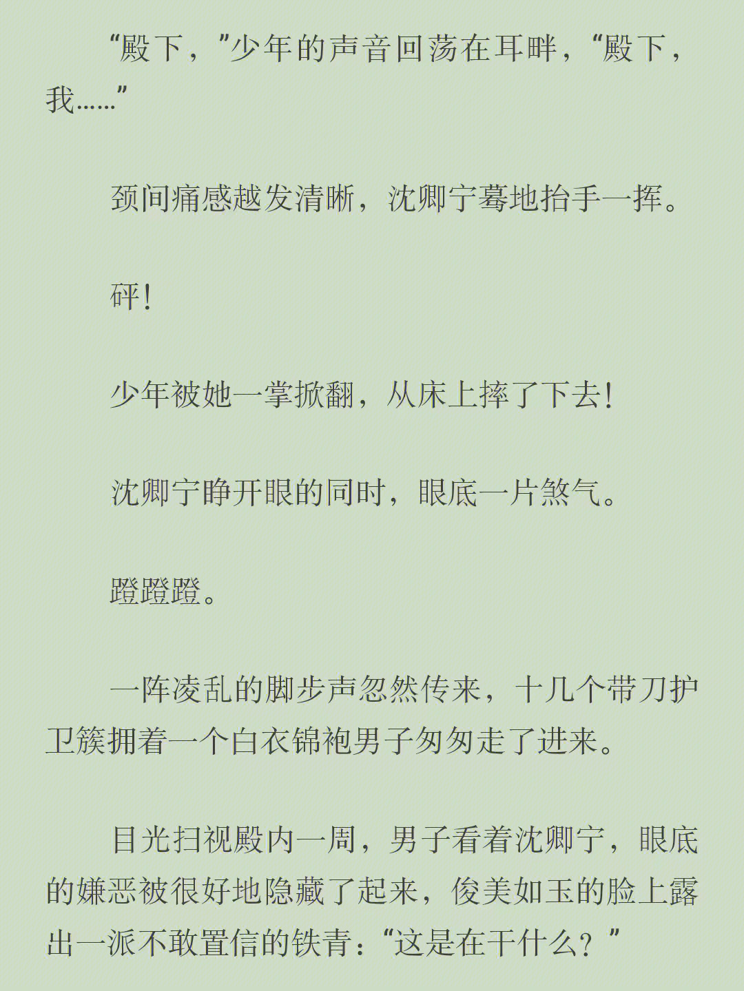 《沈卿宁景渊》沈卿宁景渊公主与影卫完整小说/全文阅读【大结局】